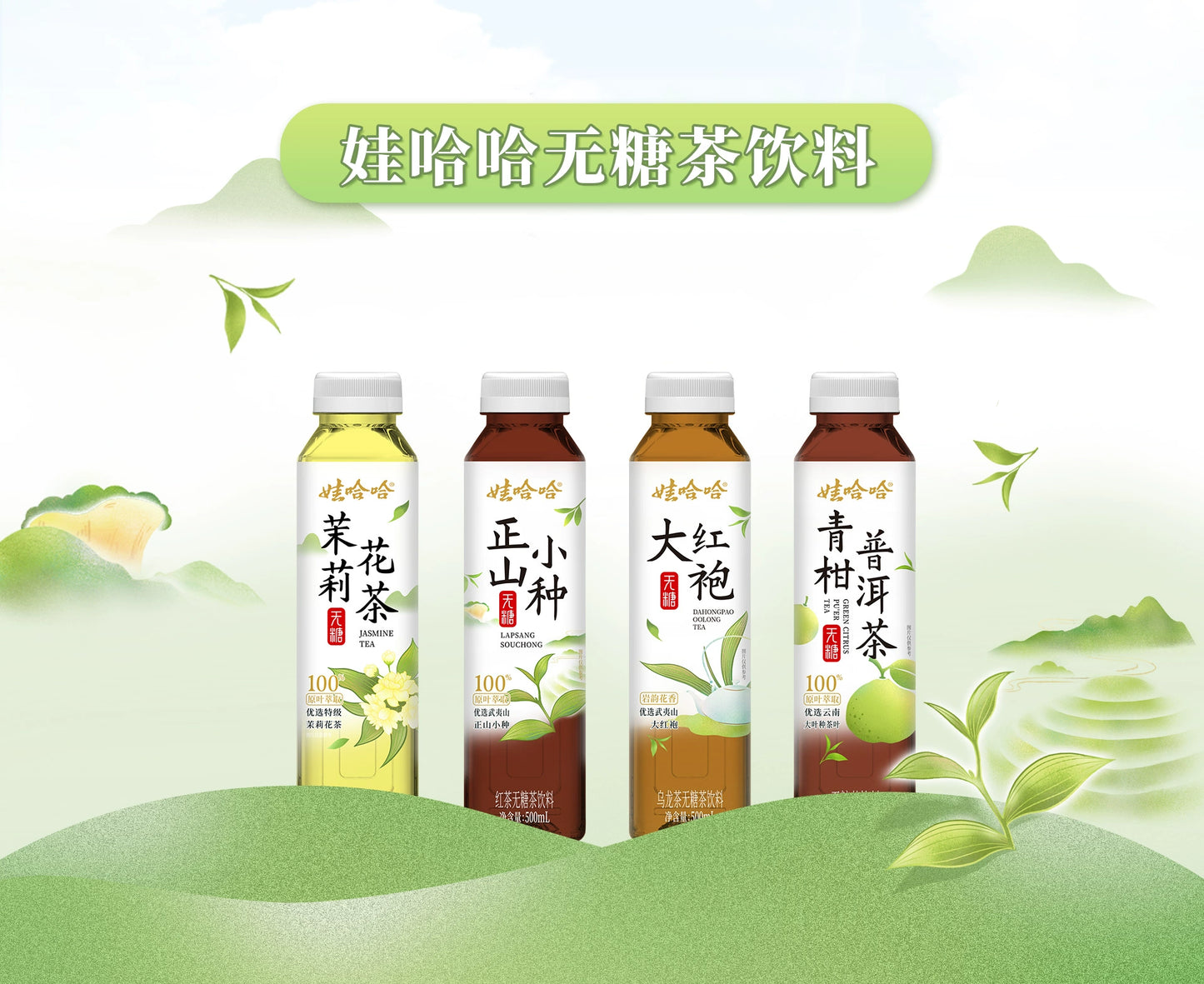 娃哈哈   无糖大红袍乌龙茶500ml